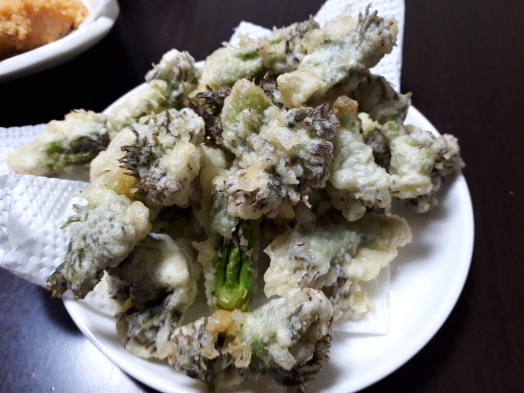 タラの芽の天ぷら